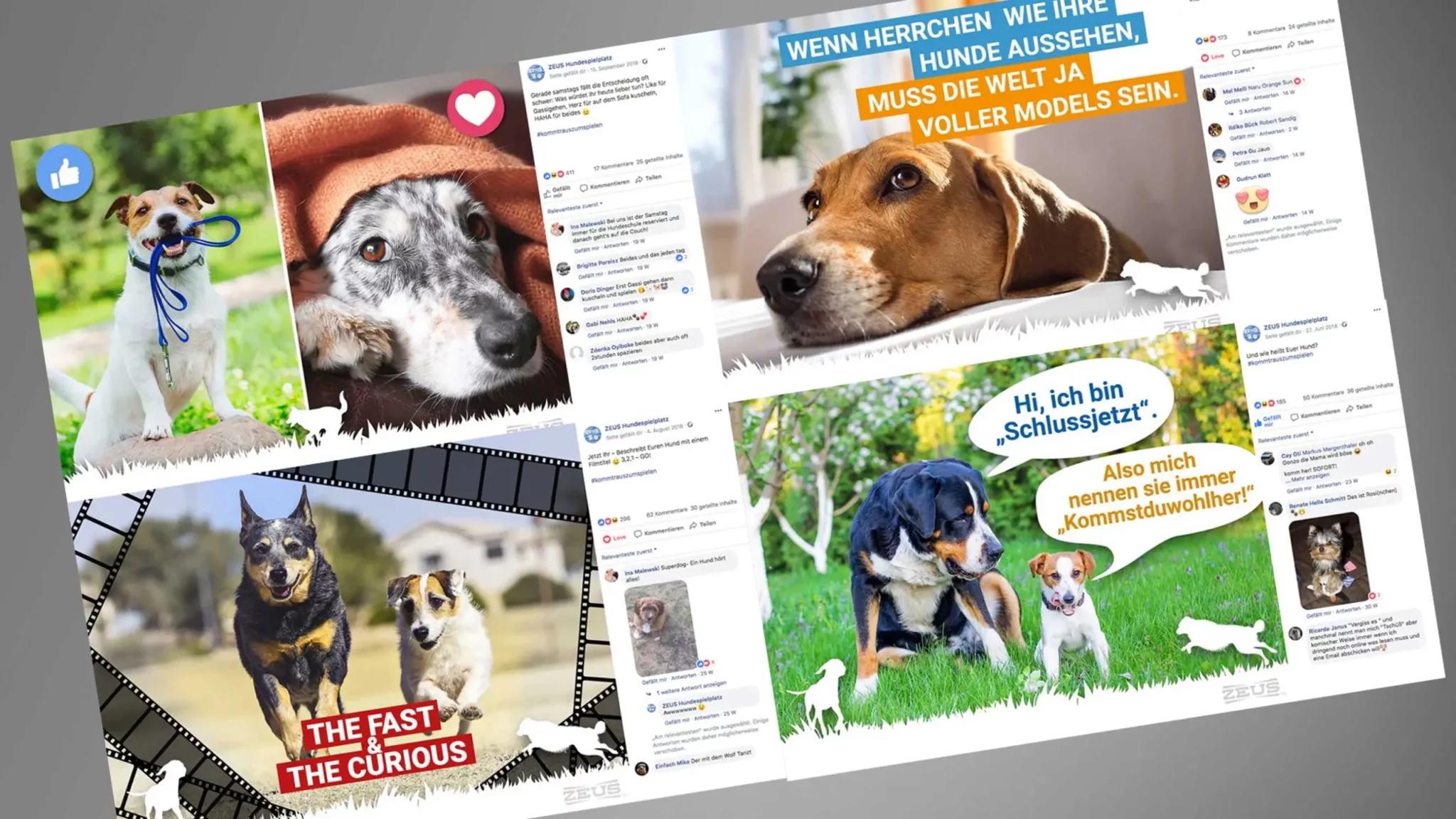 Facebook-Beiträge der Hagen Marke Zeuss von Loglan media - Werbeagentur in Dortmund