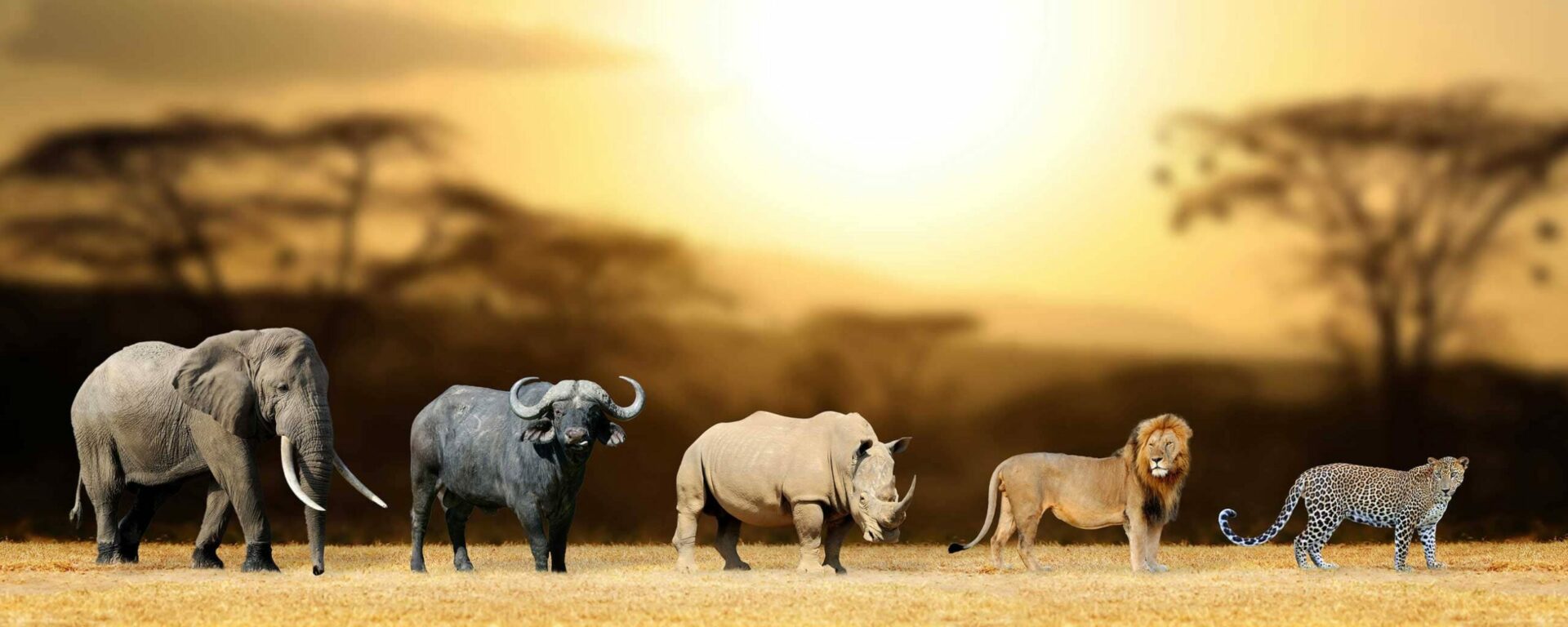 Die Big Five einer Werbeagentur